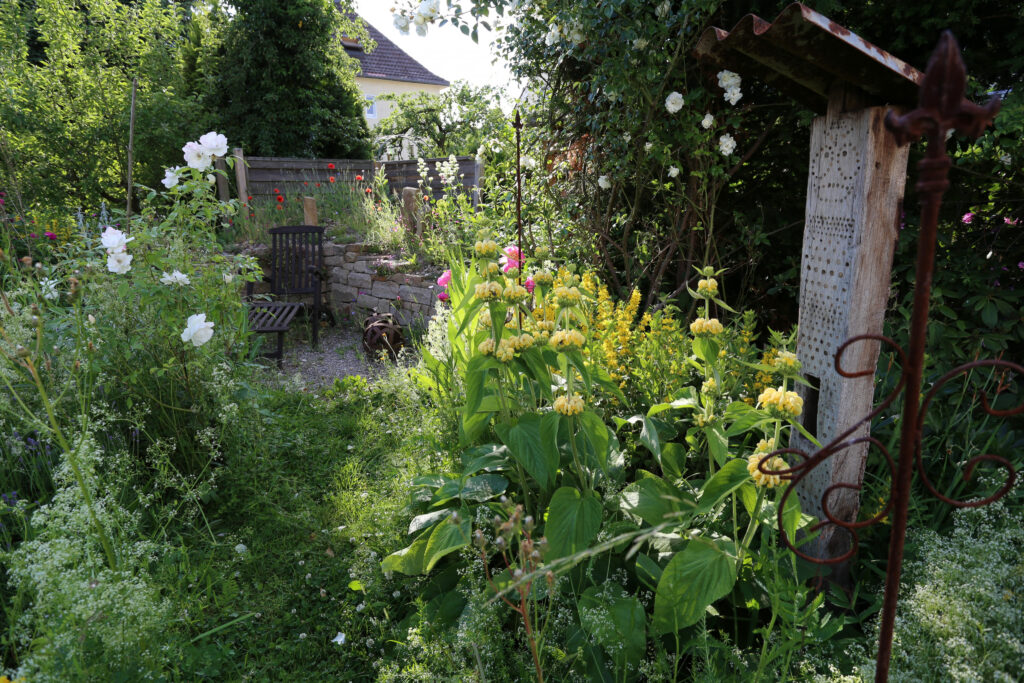 Foto von einem wilden Garten mit Sitzecke und einem Insektenhotel.